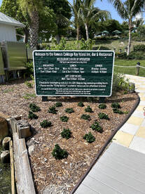 Fort Myers Beach Report Photo 2