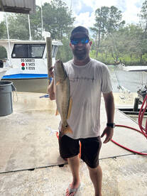 Gulf Shores Report Photo 2