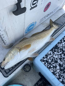 River Road Report Photo 2