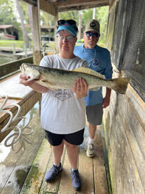 Apalachicola Report Photo 1