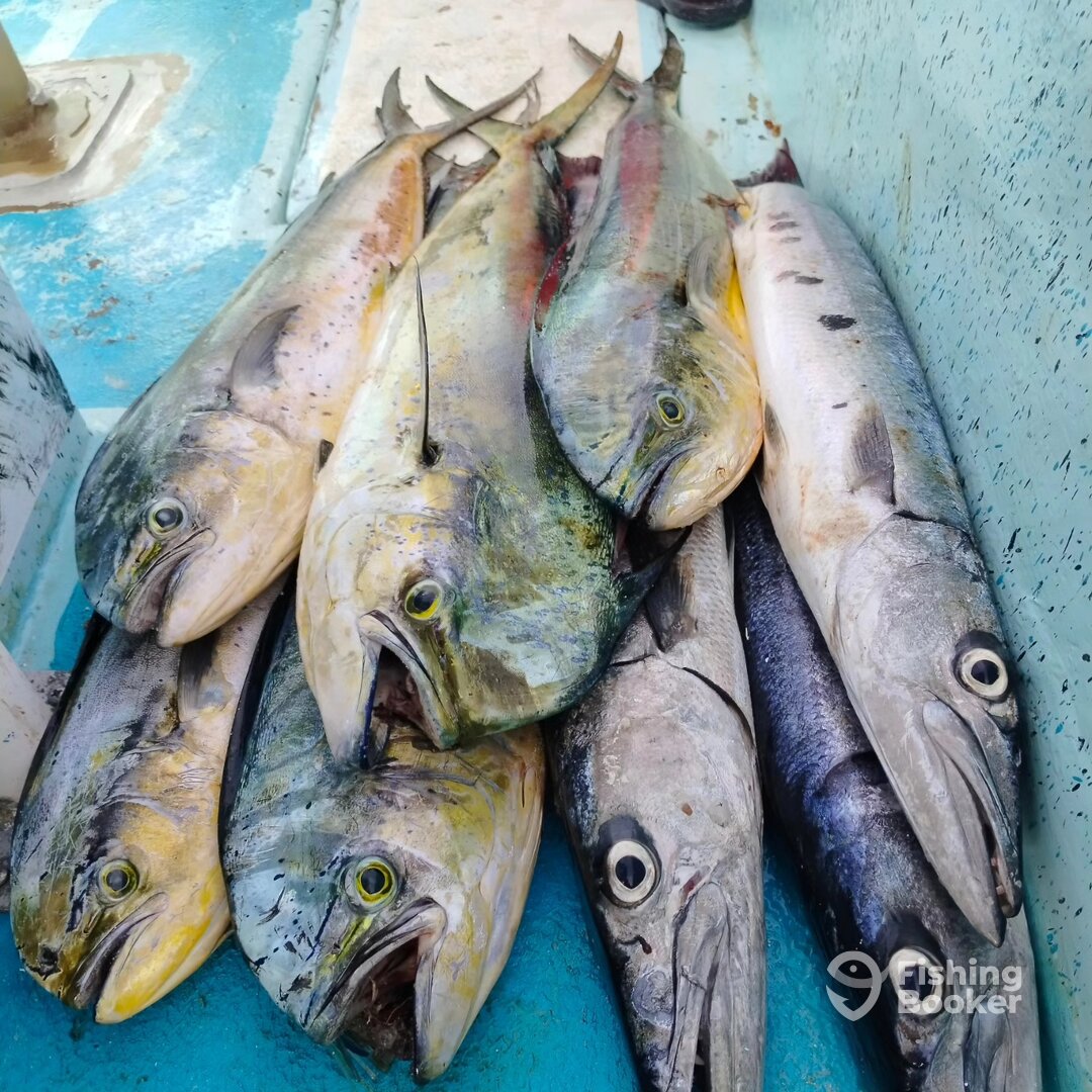 Mahahual Report Photo 0