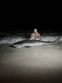 Destin Report Photo 2