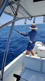 San Jose del Cabo Report Photo 2