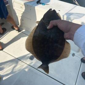 Middletown Township Report Photo 2