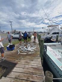 Wanchese Report Photo 2