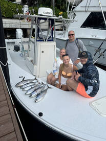 Tuna and hammerhead afternoon