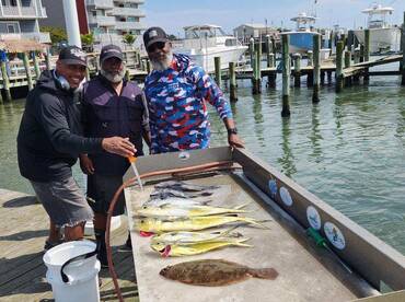 The inshore mahi bite is great