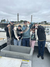 Summer bass and blues 