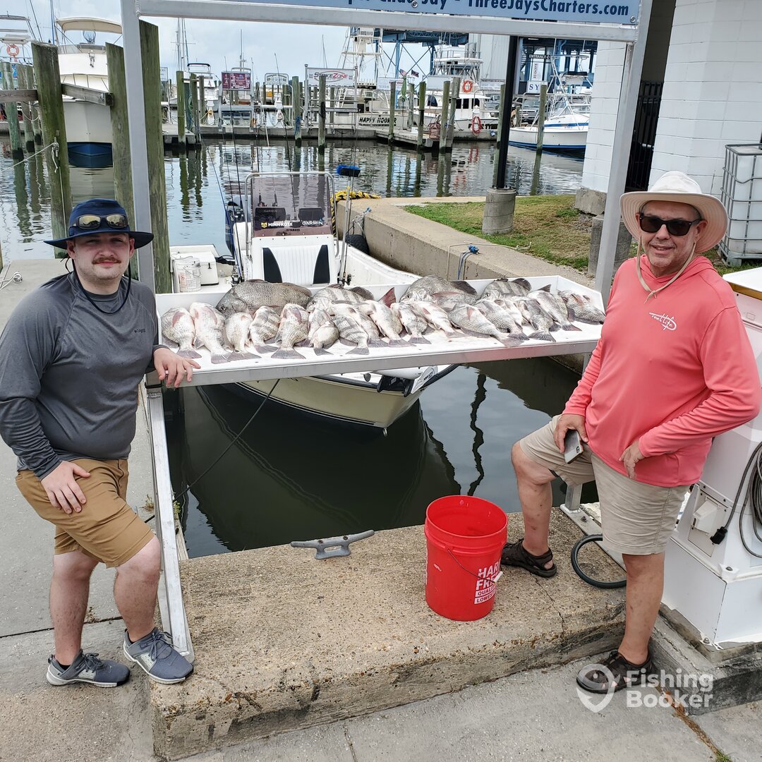 Biloxi Report Photo 0