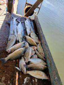 San Pedro Report Photo 2