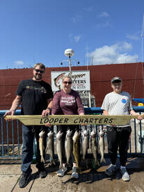 Duluth Report Photo 1