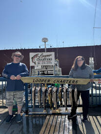 Duluth Report Photo 2