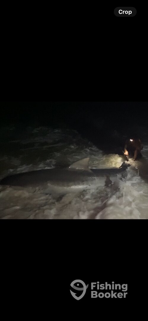 Miramar Beach Report Photo 0