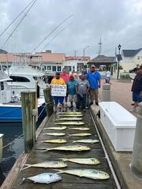 Morehead City Report Photo 2