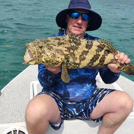 Juvenile Goliath Grouper
