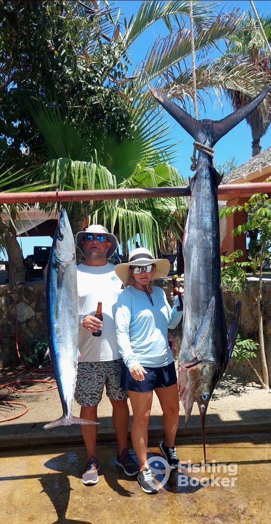 San Jose del Cabo Report Photo 0