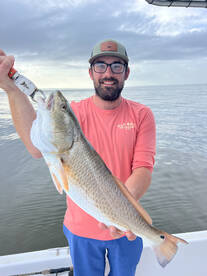 Gulf Shores Report Photo 1