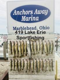 Walleye fishing is on fire right now 