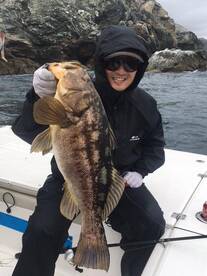 Catalina Calico Bass