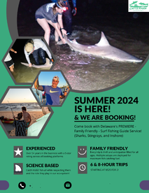 Summer 2024 is here!