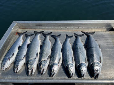 Sooke Report Photo 2