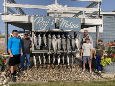 King Salmon in Ludington