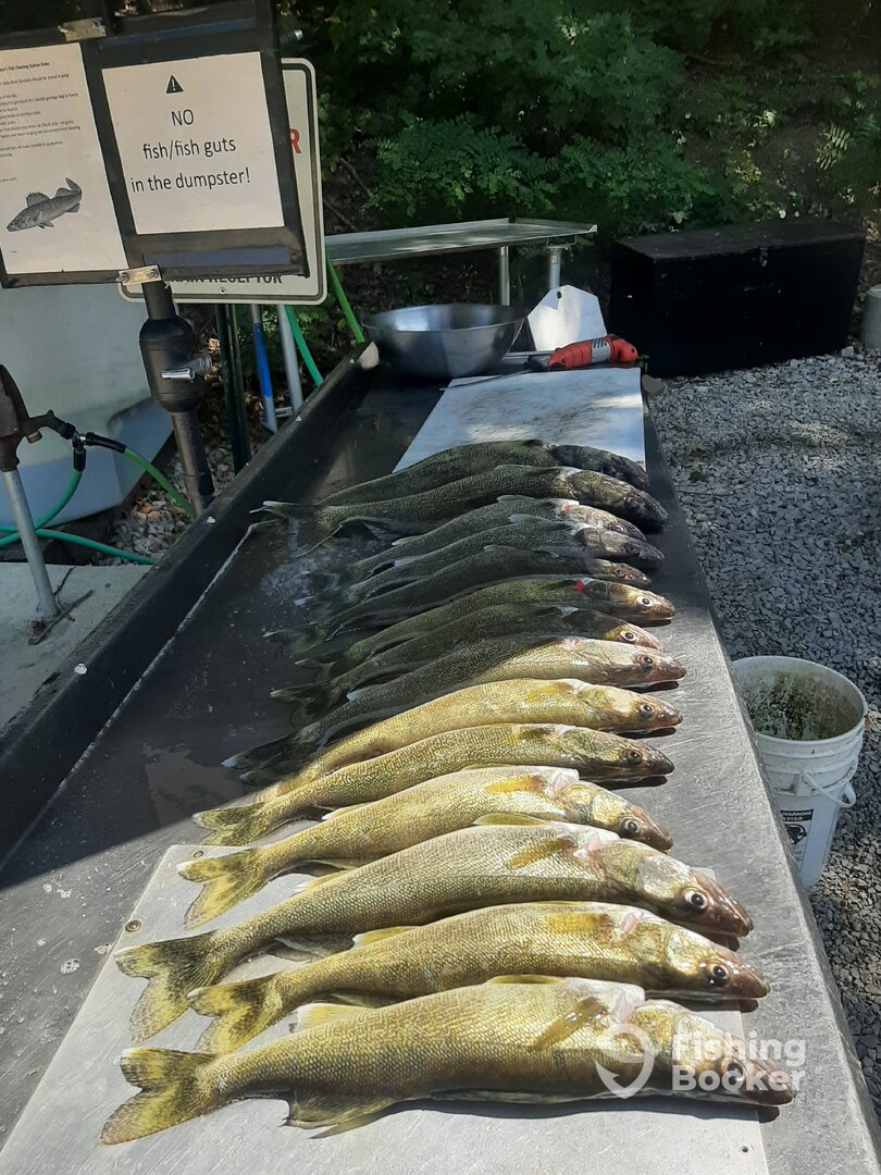 Vermilion Report Photo 0