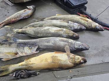 Carters Lake Report Photo 2