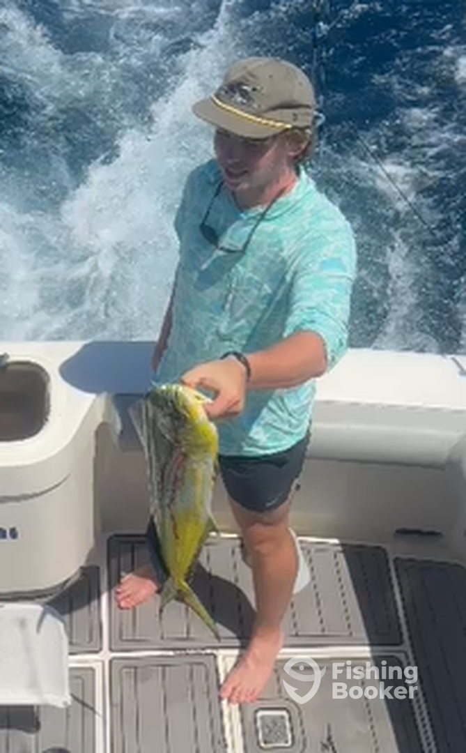 Cabo San Lucas Report Photo 0