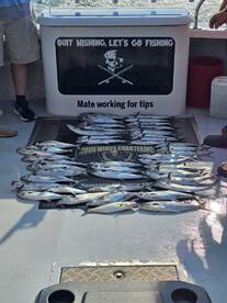 Spanish mackerel fishing is on fire 