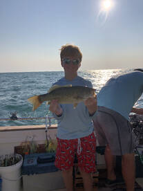 St. Clair Shores Report Photo 2