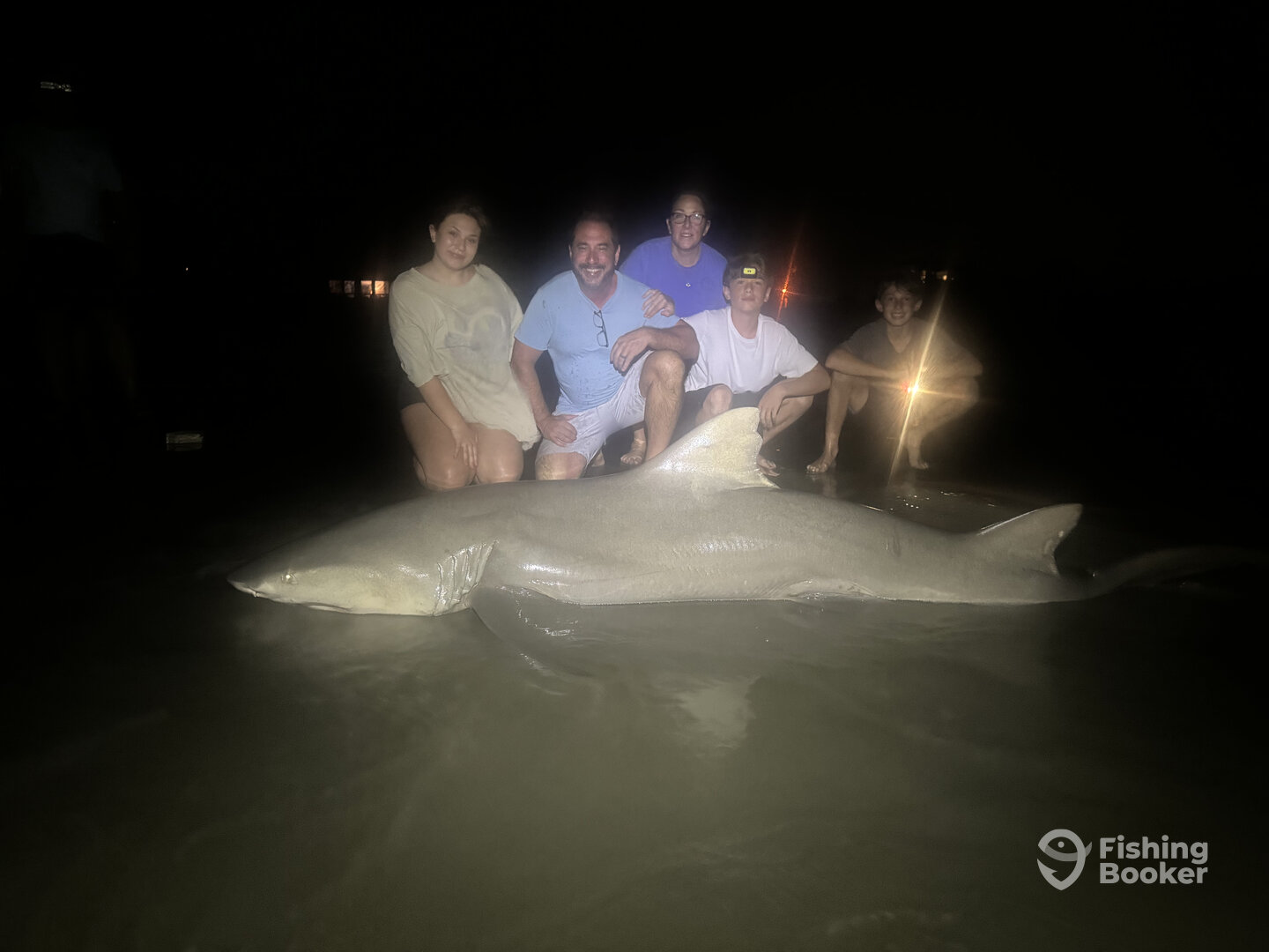 Giant lemon shark