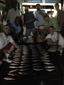 Fort Lauderdale Report Photo 2