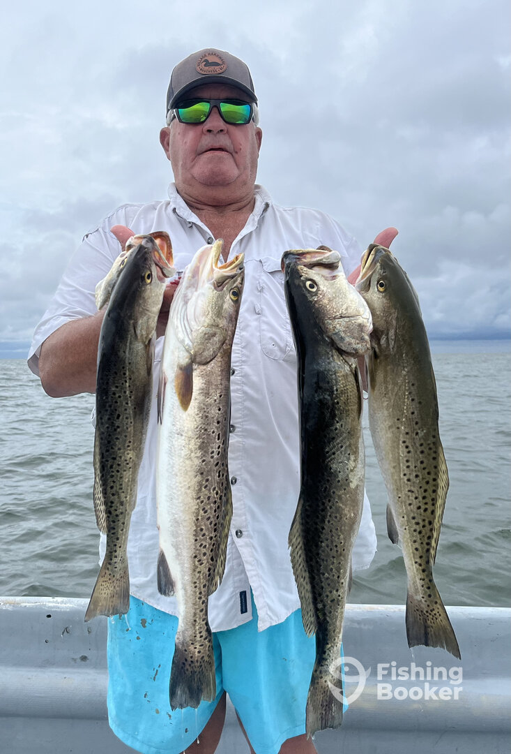 Nags Head Report Photo 0