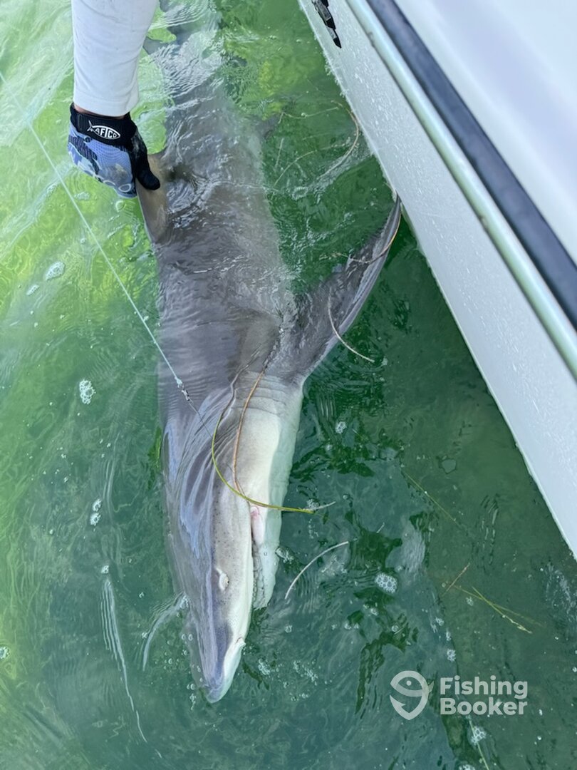 Summerland Key Report Photo 0