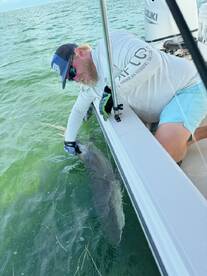 Summerland Key Report Photo 1