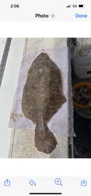 Floundering around out on the Gulf