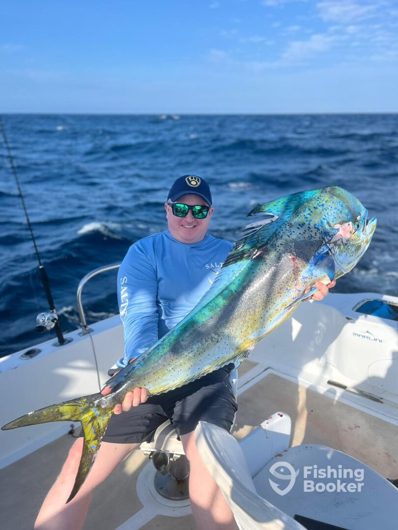Cabo San Lucas Report Photo 0