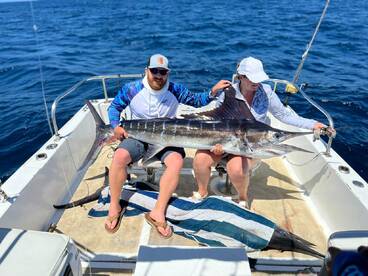 Cabo San Lucas Report Photo 1
