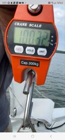 Wagoner Report Photo 1