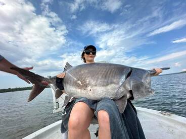 Paddlefish spank down , some true pigs