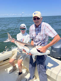 Gloucester Point Report Photo 1