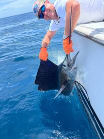 Sailfish Galore Outside of Quepos