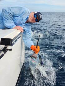 Quepos Report Photo 1