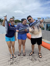 Haleiwa Report Photo 2