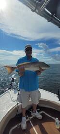 Redfish are hot hot! ? 