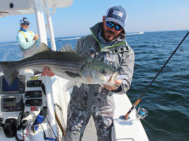 Boston Report Photo 1