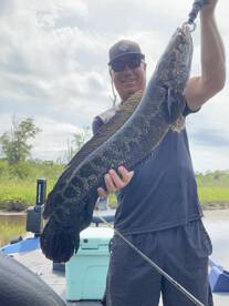 Woodbridge Report Photo 1