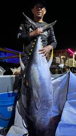 San Carlos Report Photo 2