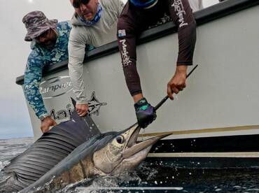 San Carlos Report Photo 1